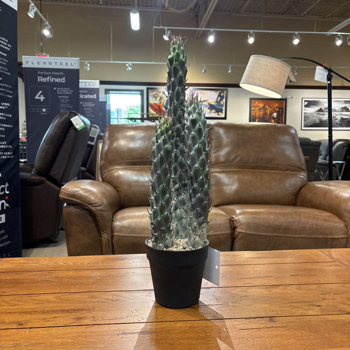 Artificial Cacti Decor (LS)