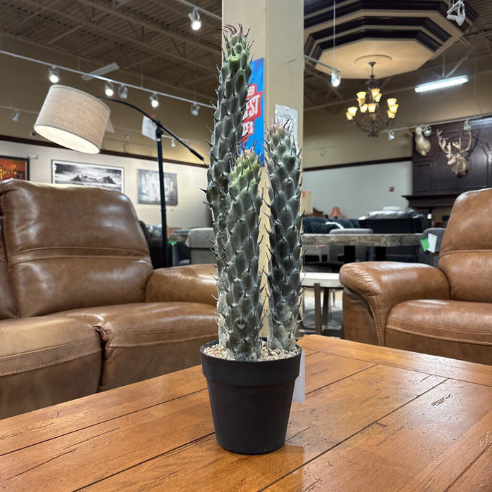 Artificial Cacti Decor (LS)