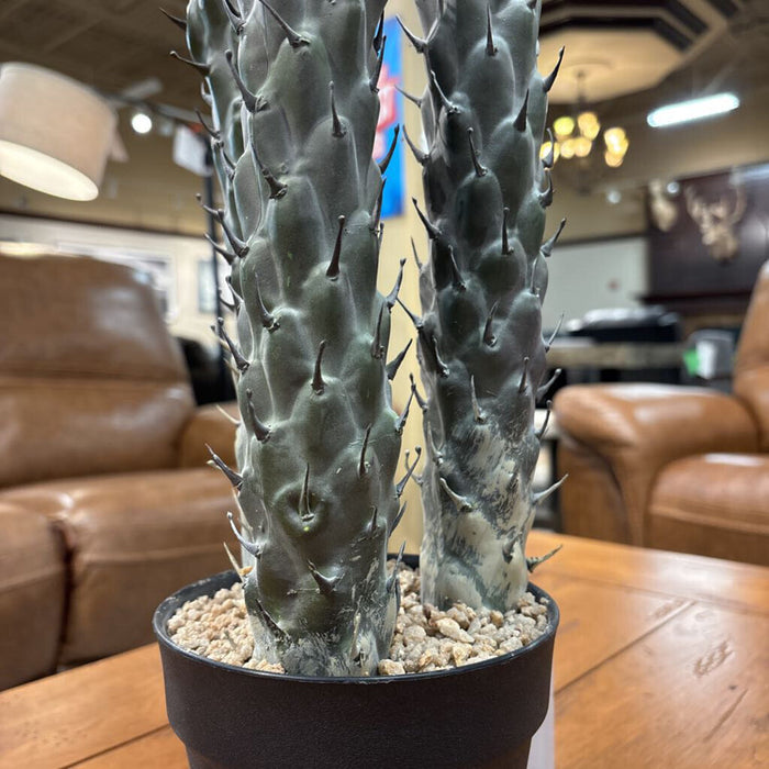 Artificial Cacti Decor (LS)