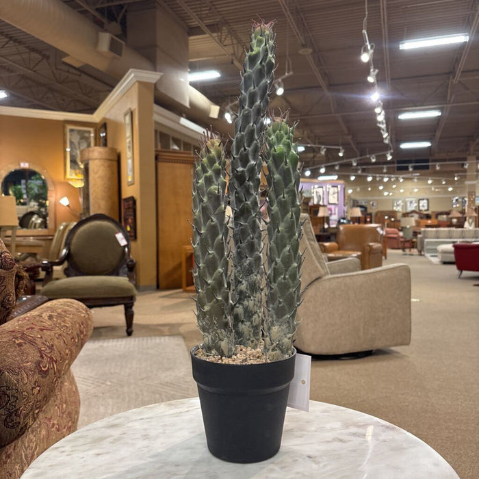 Artificial Cacti Decor (LS)