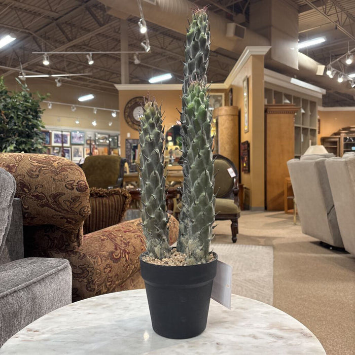 Artificial Cacti Decor (LS)