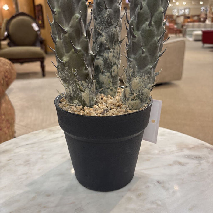Artificial Cacti Decor (LS)