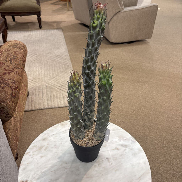 Artificial Cacti Decor (LS)