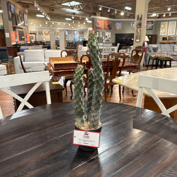Artificial Cacti Decor (LS)
