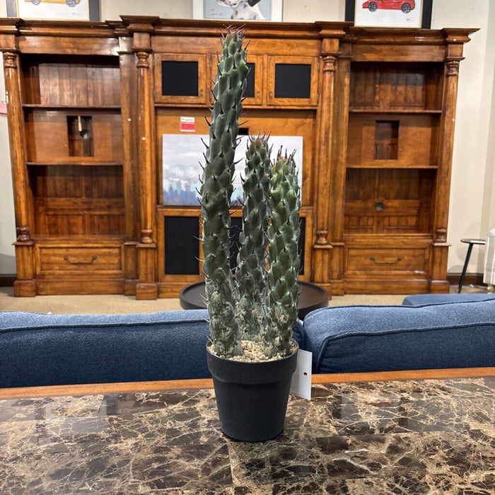 Artificial Cacti Decor (LS)