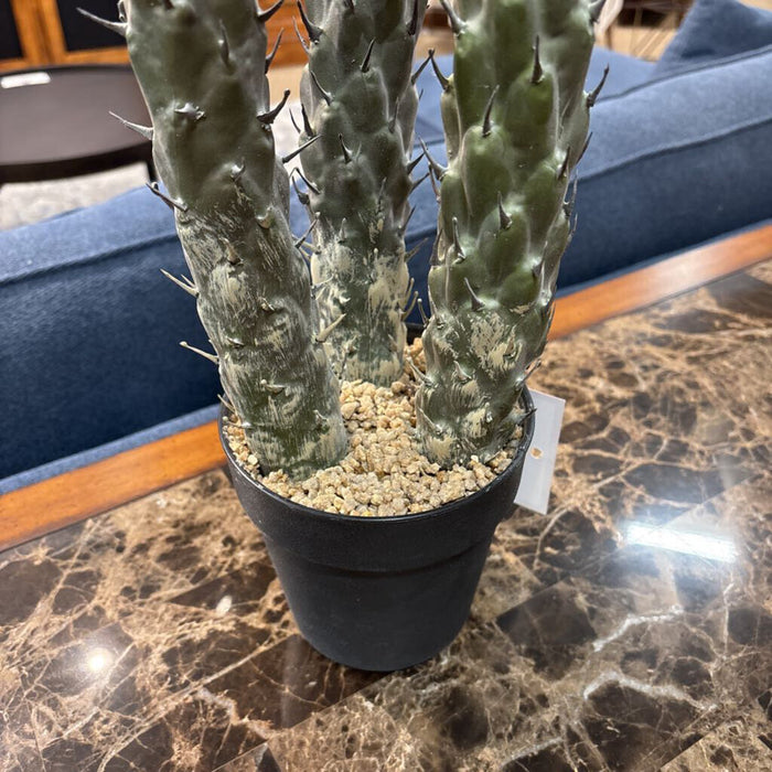 Artificial Cacti Decor (LS)