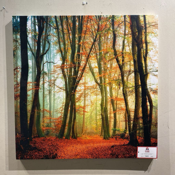 Birch Forest Art (AA)