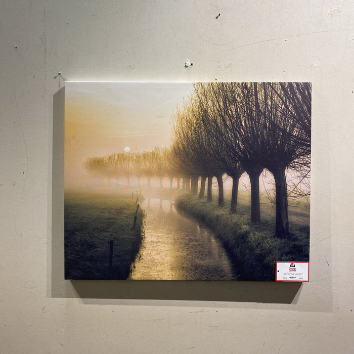 Row Of Trees Art (AT)