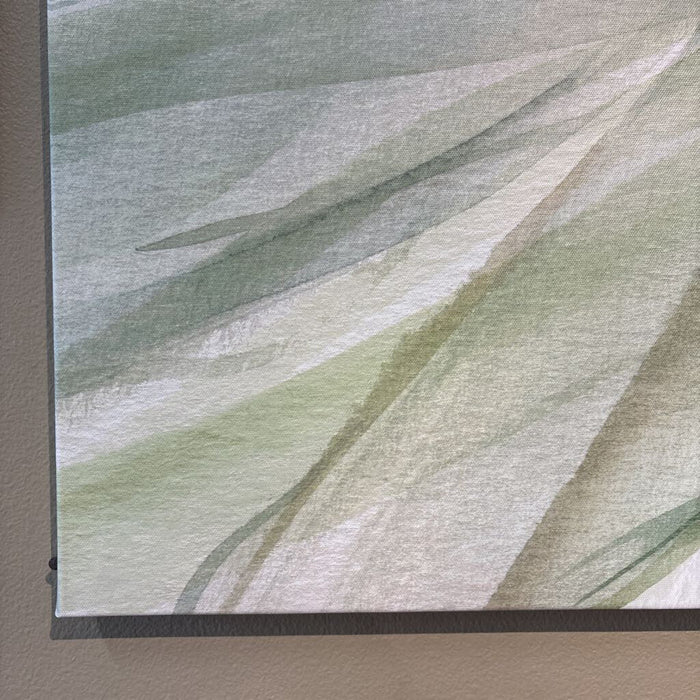 Sage Canvas (CT)