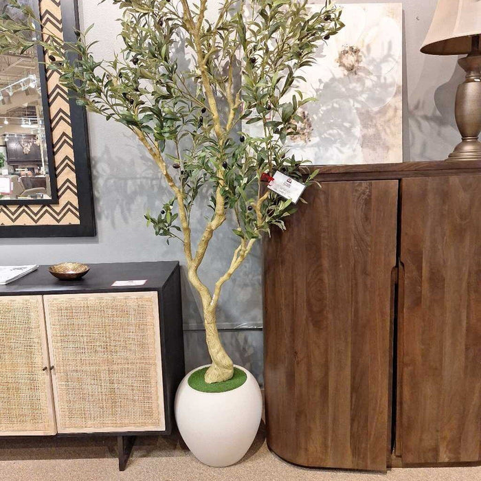 OLIVE TREE (ABK)
