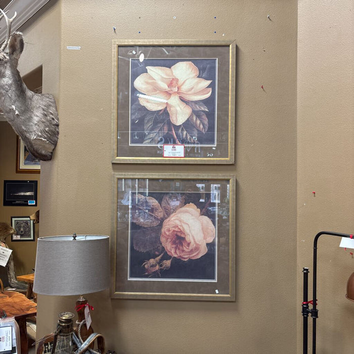 S/2 Gold Framed Artwork of Flower (KL)