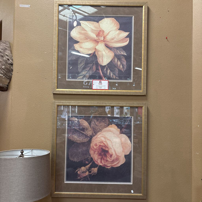 S/2 Gold Framed Artwork of Flower (KL)