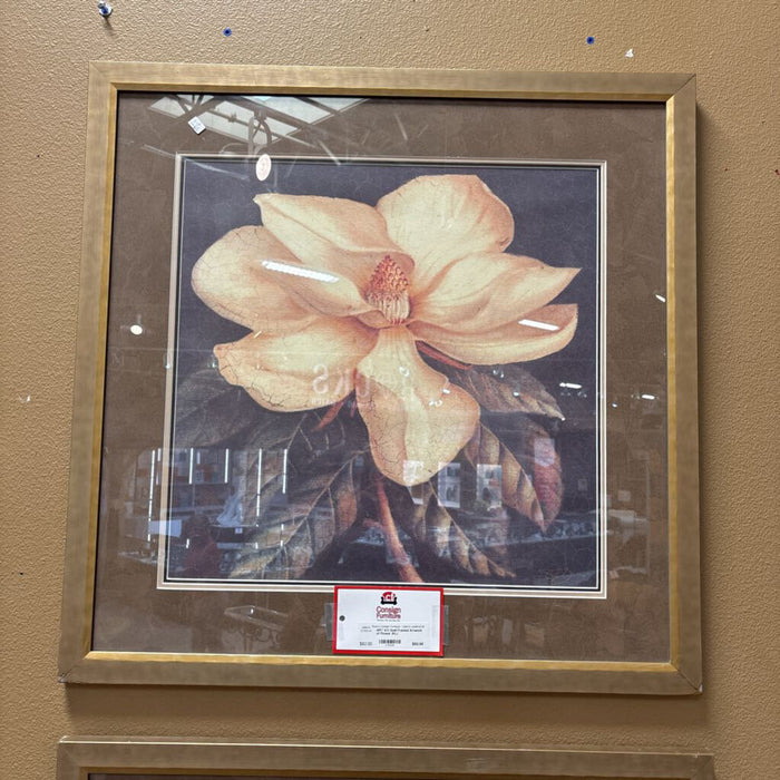 S/2 Gold Framed Artwork of Flower (KL)