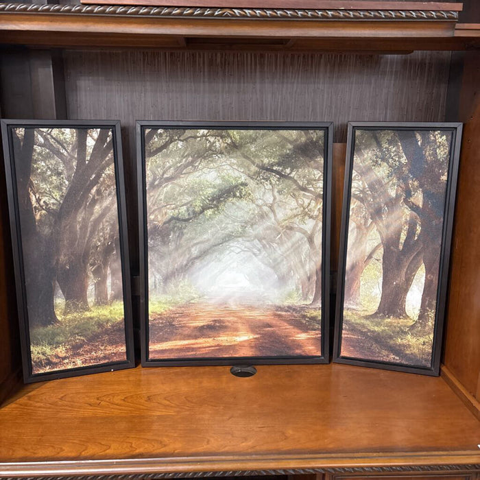 S/3 Black Framed Patheway In Forest (KL)