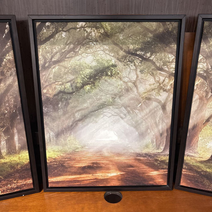 S/3 Black Framed Patheway In Forest (KL)