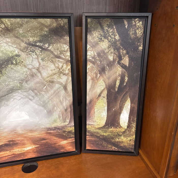 S/3 Black Framed Patheway In Forest (KL)