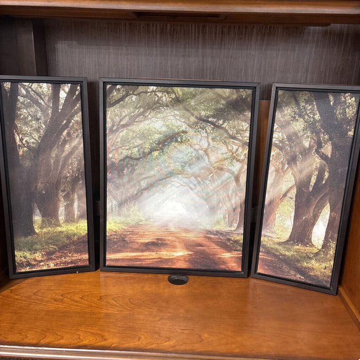 S/3 Black Framed Patheway In Forest (KL)