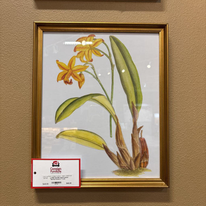 Gold Framed "Spring Flowers l" (LS)
