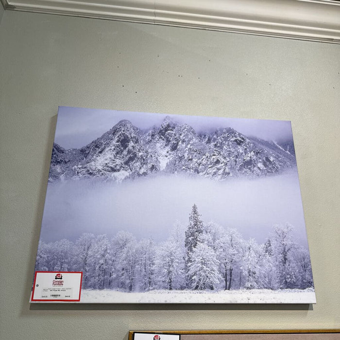 Purple Mtn. Art(LS)