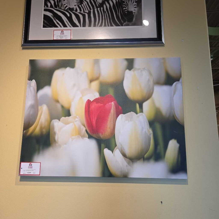 Tulip Canvas Art(KL)