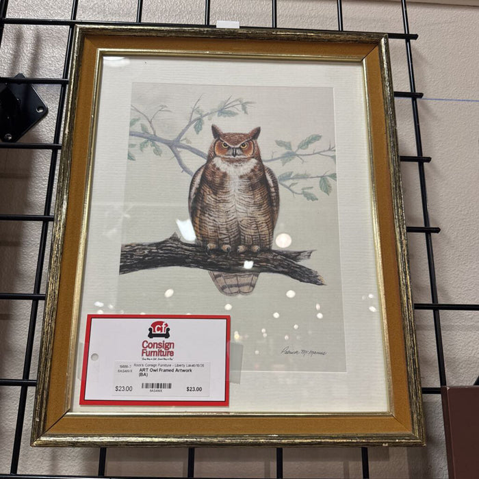 Owl Framed Artwork (BA)