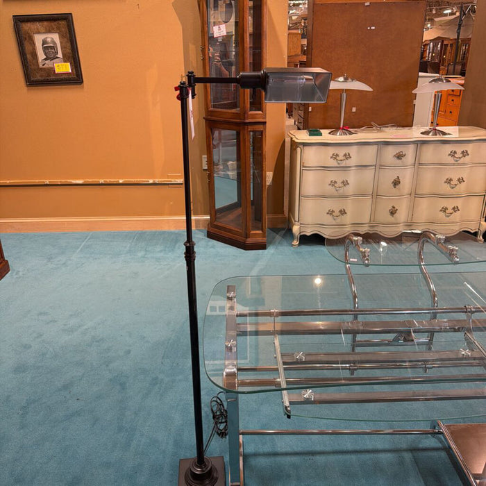 Hinge/Swing Arm Floor Lamp(SK)