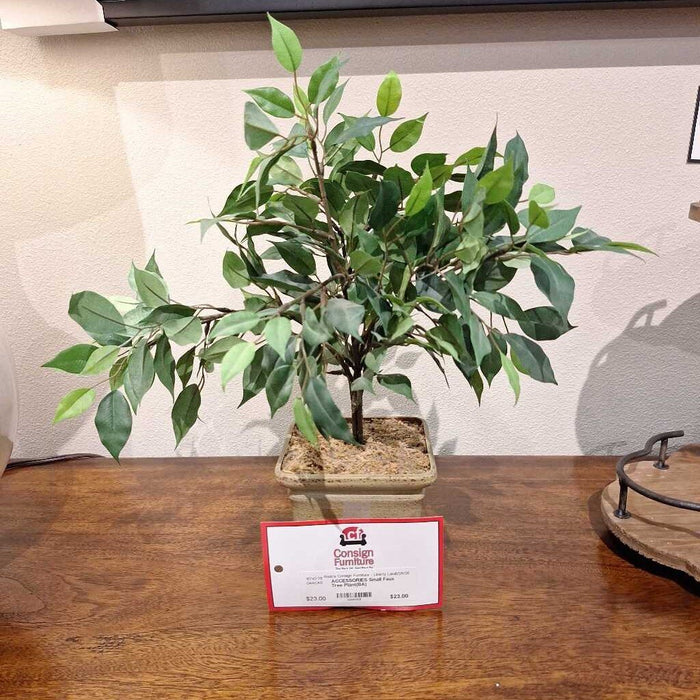 Small Faux Tree Plant(BA)