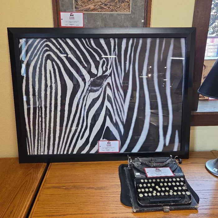 Black Framed Zebra Art(SK)