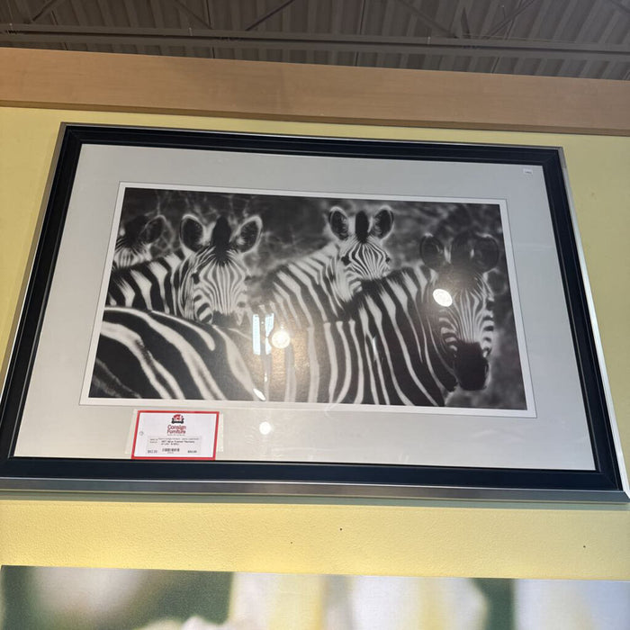 Silver Framed "Harmony of Life" Art(KL)