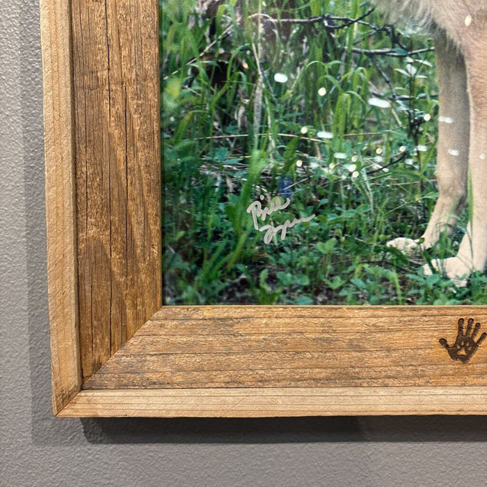 "Wolf People" Framed Art (AT)