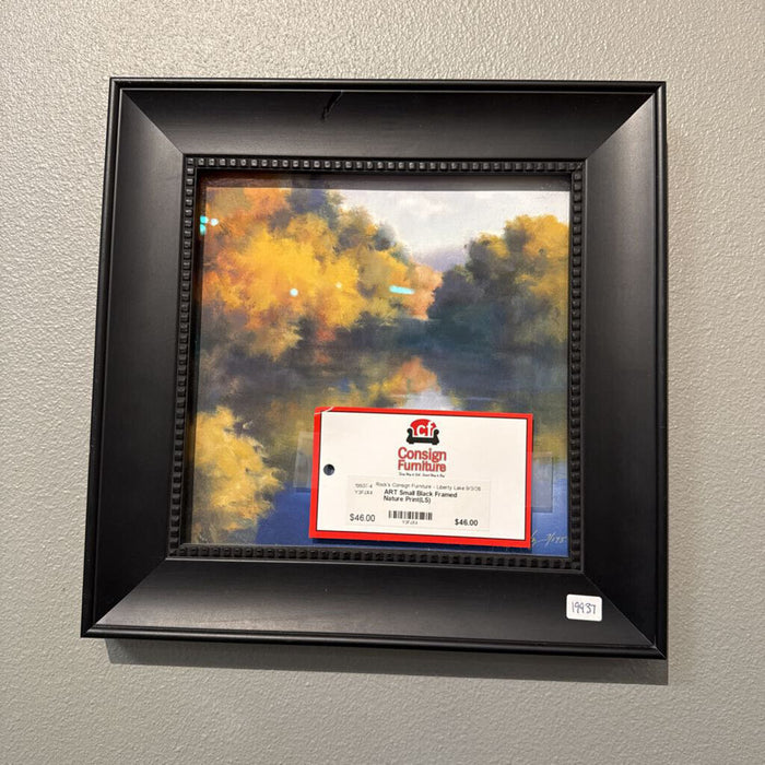 Small Black Framed Nature Print(LS)