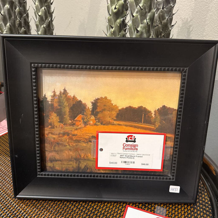 Small Black Framed Nature Print(LS)