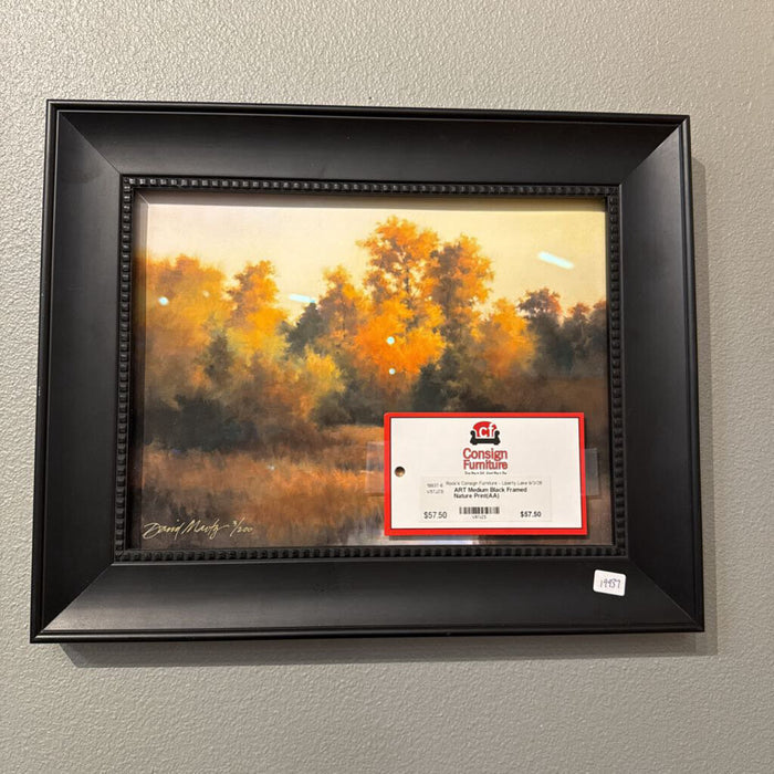 Medium Black Framed Nature Print(AA)