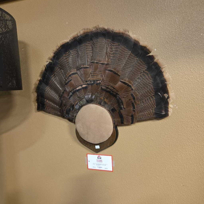 Turkey Wall Mount(AT)