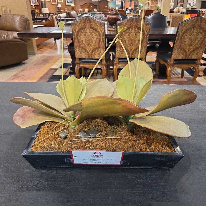 Faux Succulent in Planter(KL)