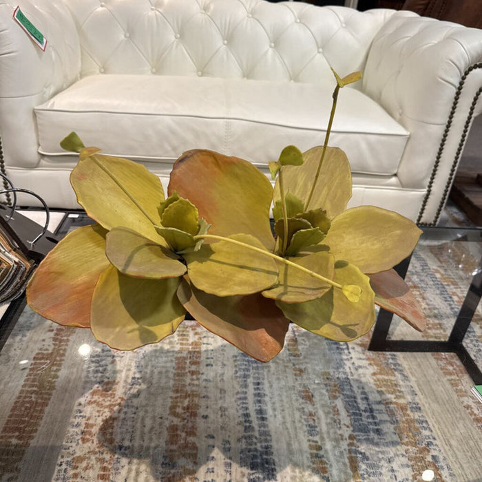 Faux Succulent in Planter(KL)