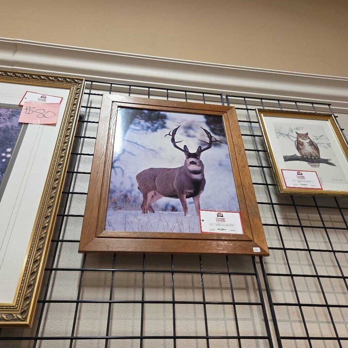 DW Framed Deer Art(LS)