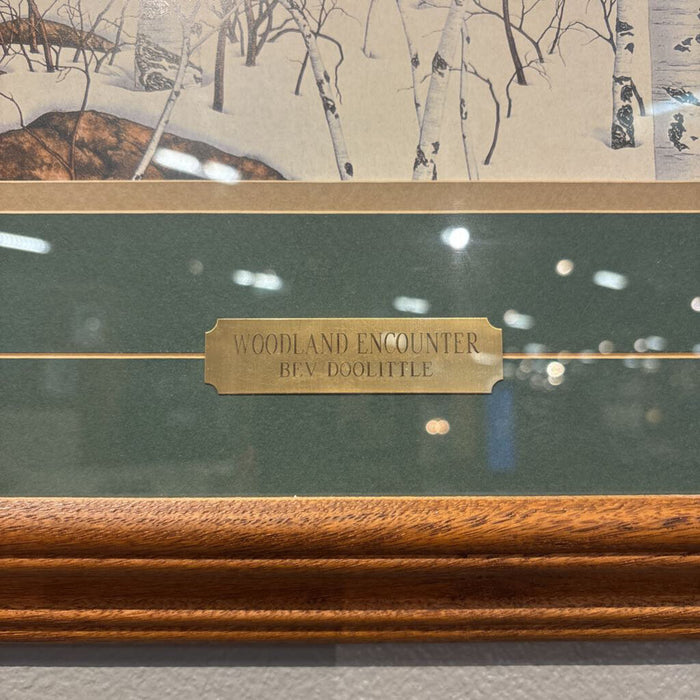 "Woodland Encounter" Framed Art (AT)