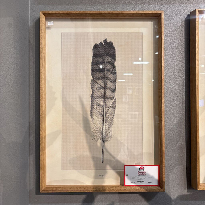 Feather Print Artwork(AT)