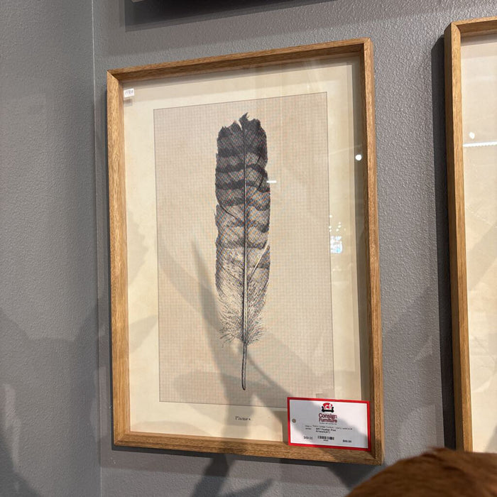 Feather Print Artwork(AT)
