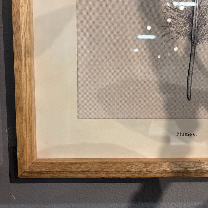 Feather Print Artwork(AT)
