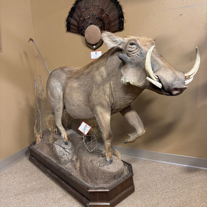 Full Warthog Mount on Wheels(ATHH)