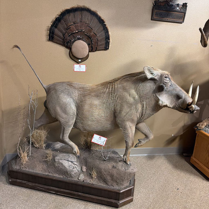 Full Warthog Mount on Wheels(ATHH)