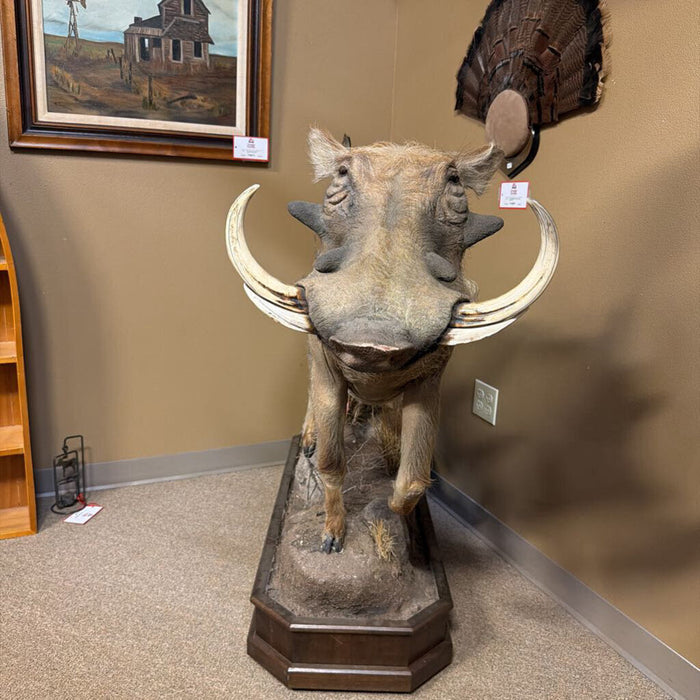 Full Warthog Mount on Wheels(ATHH)