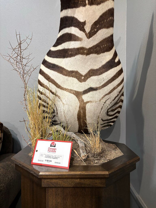 Zebra Mount w/ Pedestal/Hide Rug(BCKH)