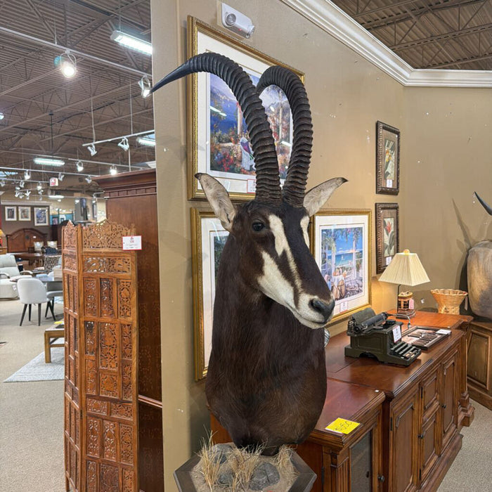 Sabel Mount w/ Pedestal/Hide Rug(LCKH)
