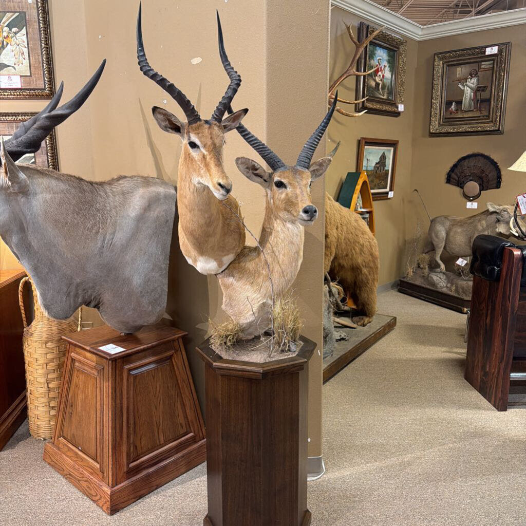 Consignment Items