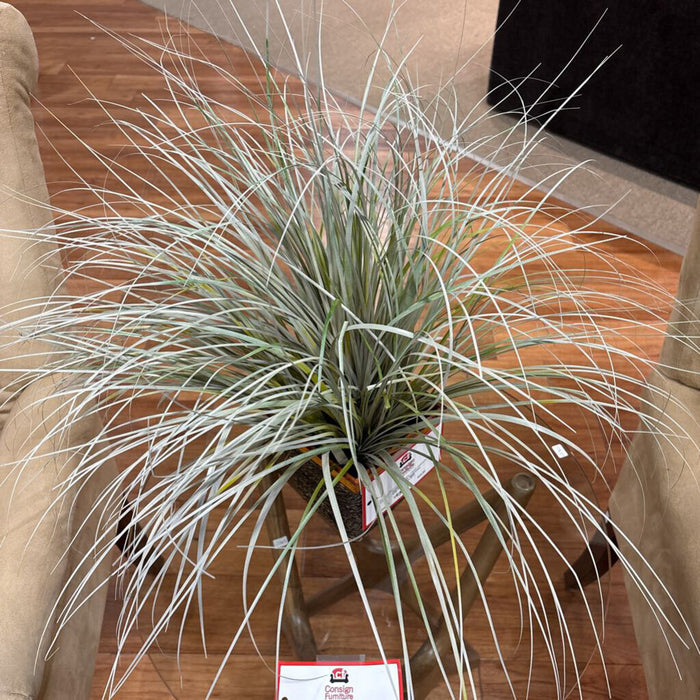 Small Vase with Faux Grass (BT)