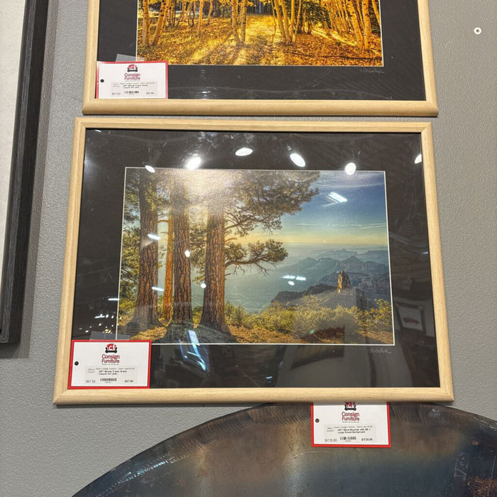Blonde Frame Grand Canyon Art (AA)