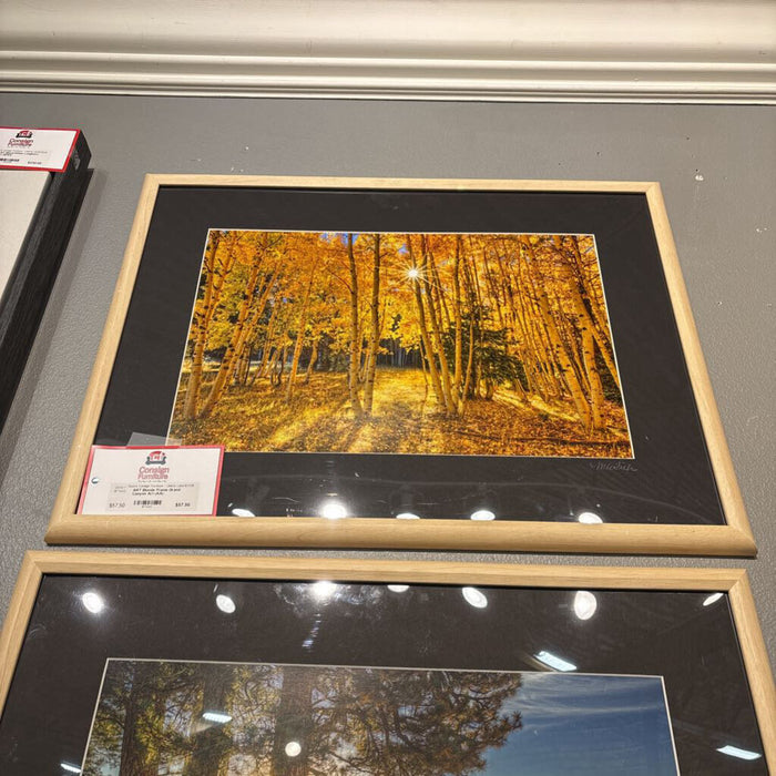 Blonde Frame Grand Canyon Art (AA)